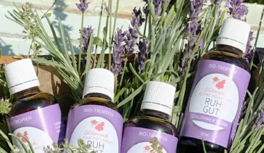Organic Drops "Calm rest" Herbal Extract Vegan With Organic Valerian - Organic Lavender Organic Melissa Organic Hops Relaxation